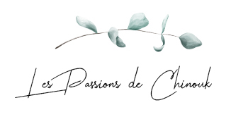 Logo les passions de chinouk