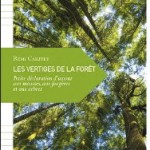 Les vertiges de la forêt de Rémi Caritey