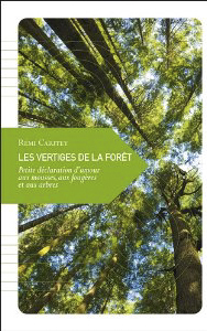 Les vertiges de la forêt de Rémi Caritey