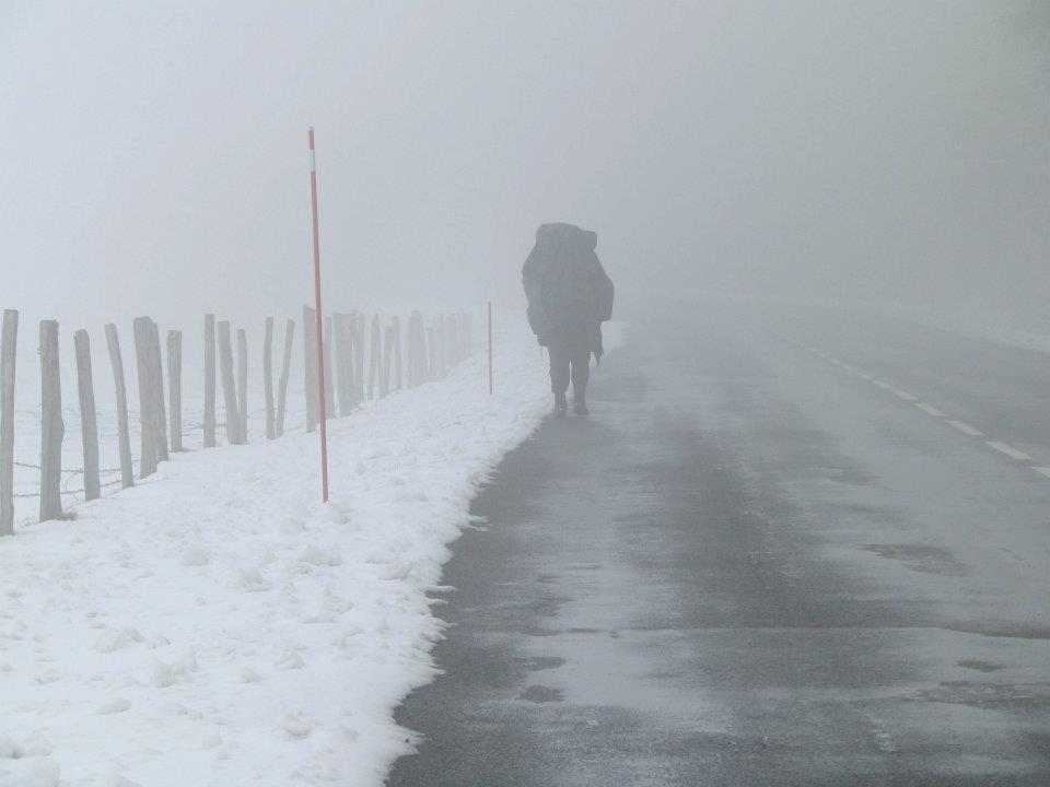 On the road Aubrac On the road Aubrac