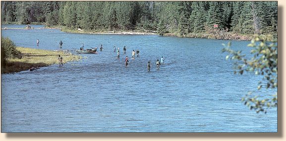 Kenai river