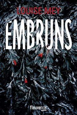 livre embruns louise mey avis