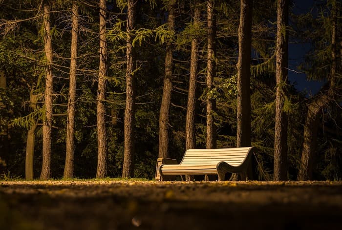 banc dans un parc