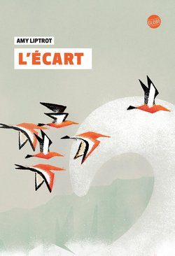 Lire la suite à propos de l’article L’écart de Amy Liptrot
