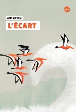 livre l ecart de amy liptrot