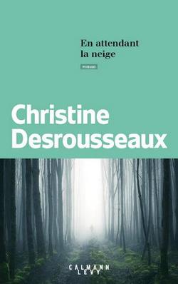 livre En attendant la neige christine desrouseaux