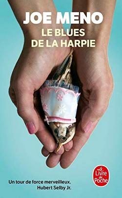 Lire la suite à propos de l’article Le blues de La Harpie de Joe Meno