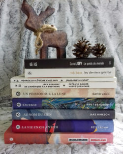 Lire la suite à propos de l’article Top 10 : mes meilleurs lectures de 2019