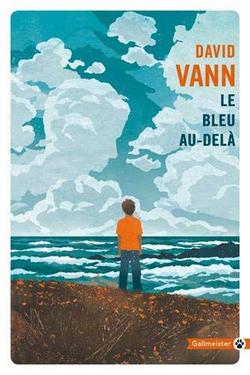 roman david Vann le bleu au dela