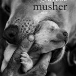 livre Musher de Julien Gravelle