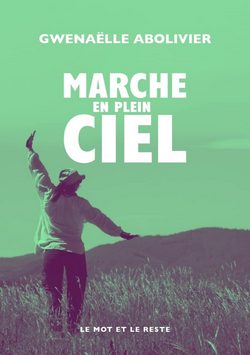 Marche en plein ciel de Gwenaëlle Abolivier