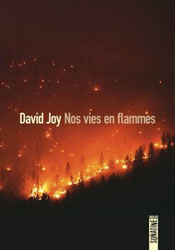 livre Nos vies en flammes de David Joy