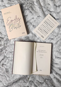 Lire la suite à propos de l’article Les Hauts de Hurlevent de Emily Brontë | Litera